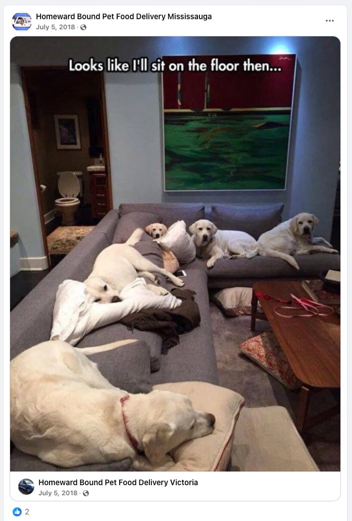 Homeward Bound Pet Food Delivery Facebook Post
